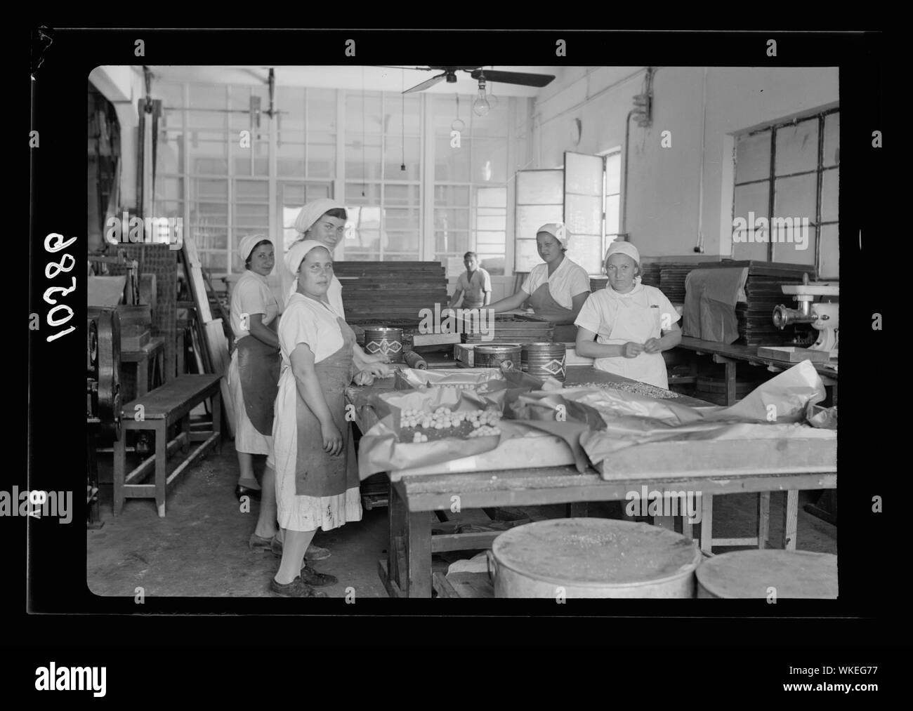 Jewish factories in Palestine on Plain of Sharon &amp; along the coast to ...
