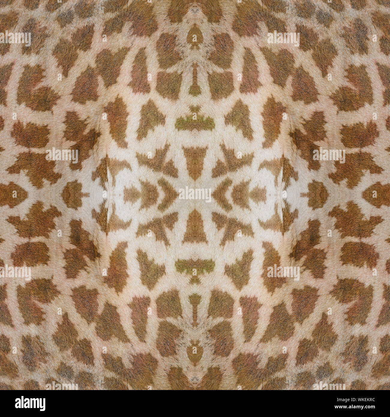 Beautiful background pattern made from Giraffe skin Stock Photo
