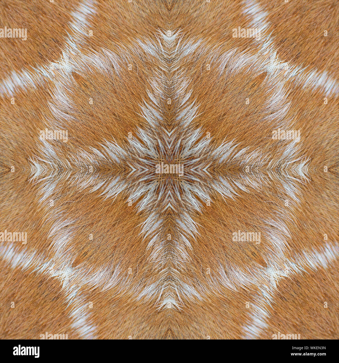Beautiful seamless pattern made from deer skin Stock Photo