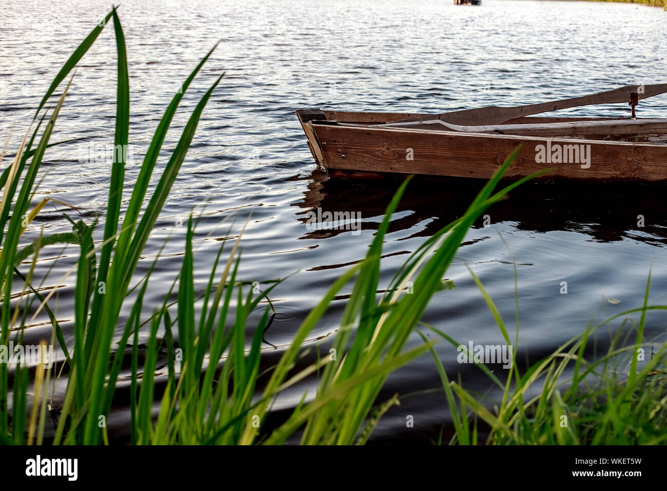 A small wooden rowing boat with a broken bottom on a calm lake near the shore. Belarus Stock Photo