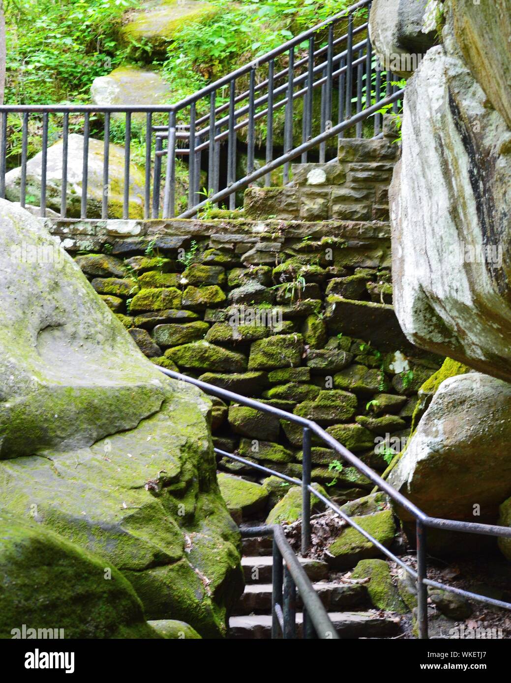 Moss Covered Steps High Resolution Stock Photography and Images - Alamy