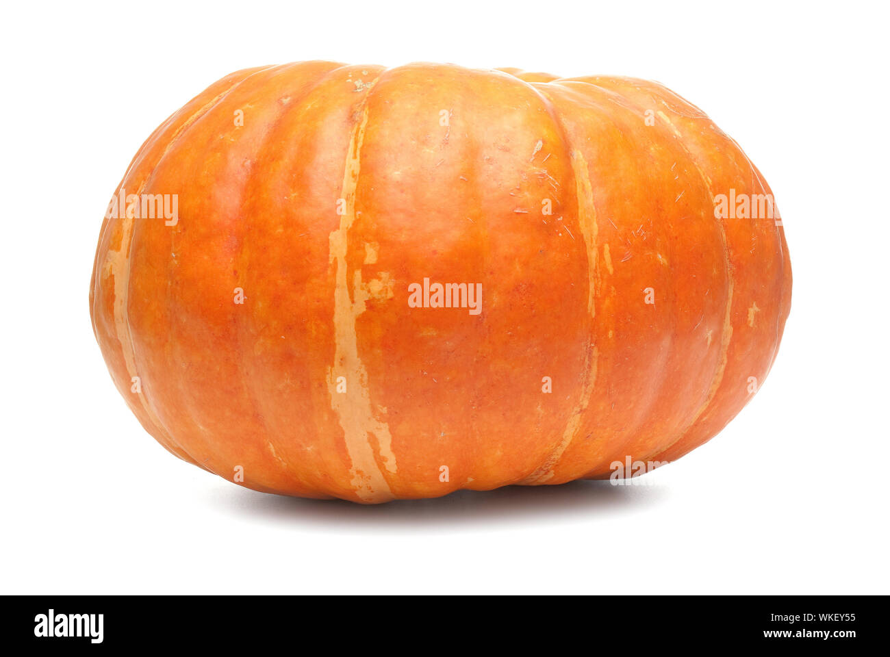 Orange pumpkin isolated on white background Stock Photo - Alamy