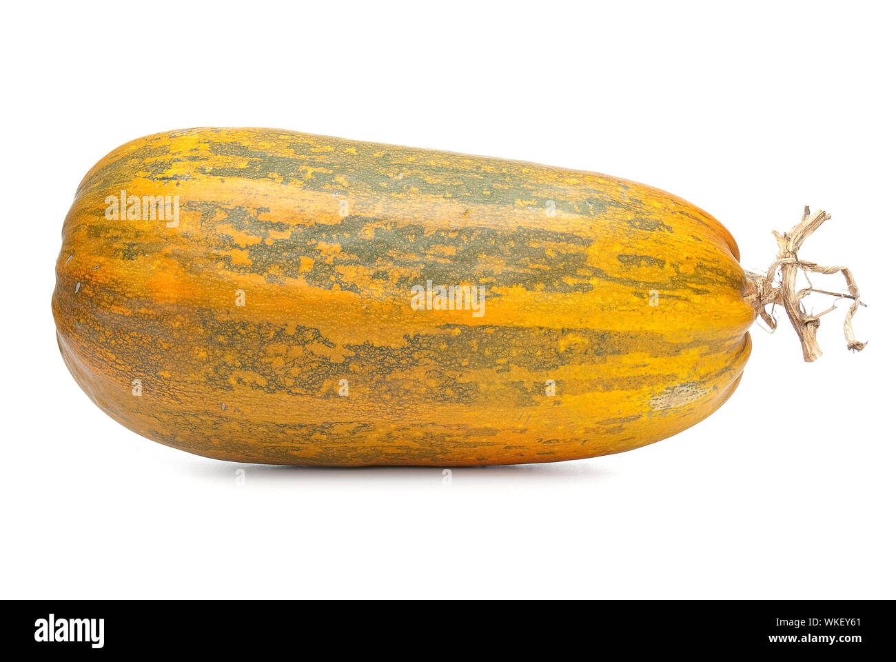 Single fresh pumpkin isolated on white background Stock Photo - Alamy
