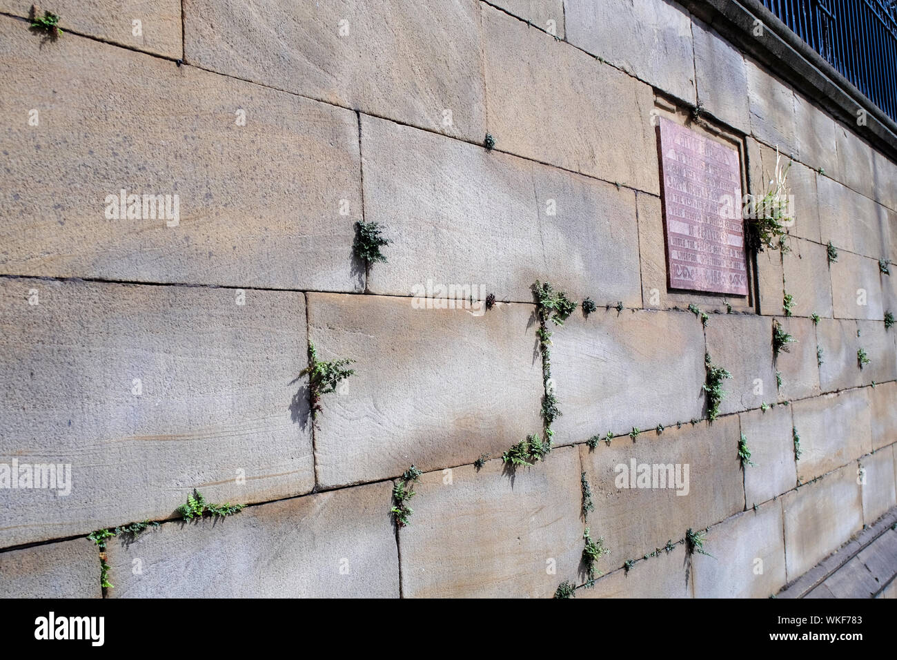 Weeds wall hi-res stock photography and images - Alamy