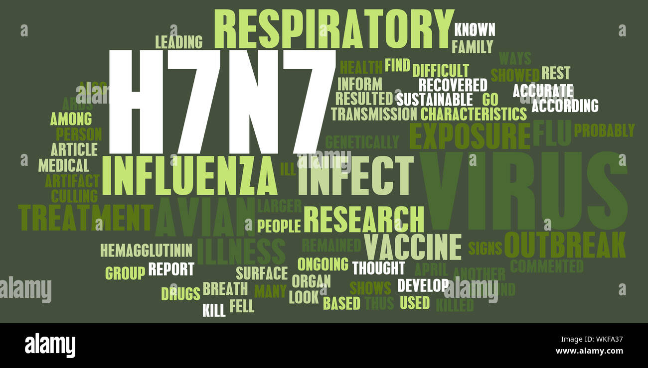 five ten 2019 climbing shoes