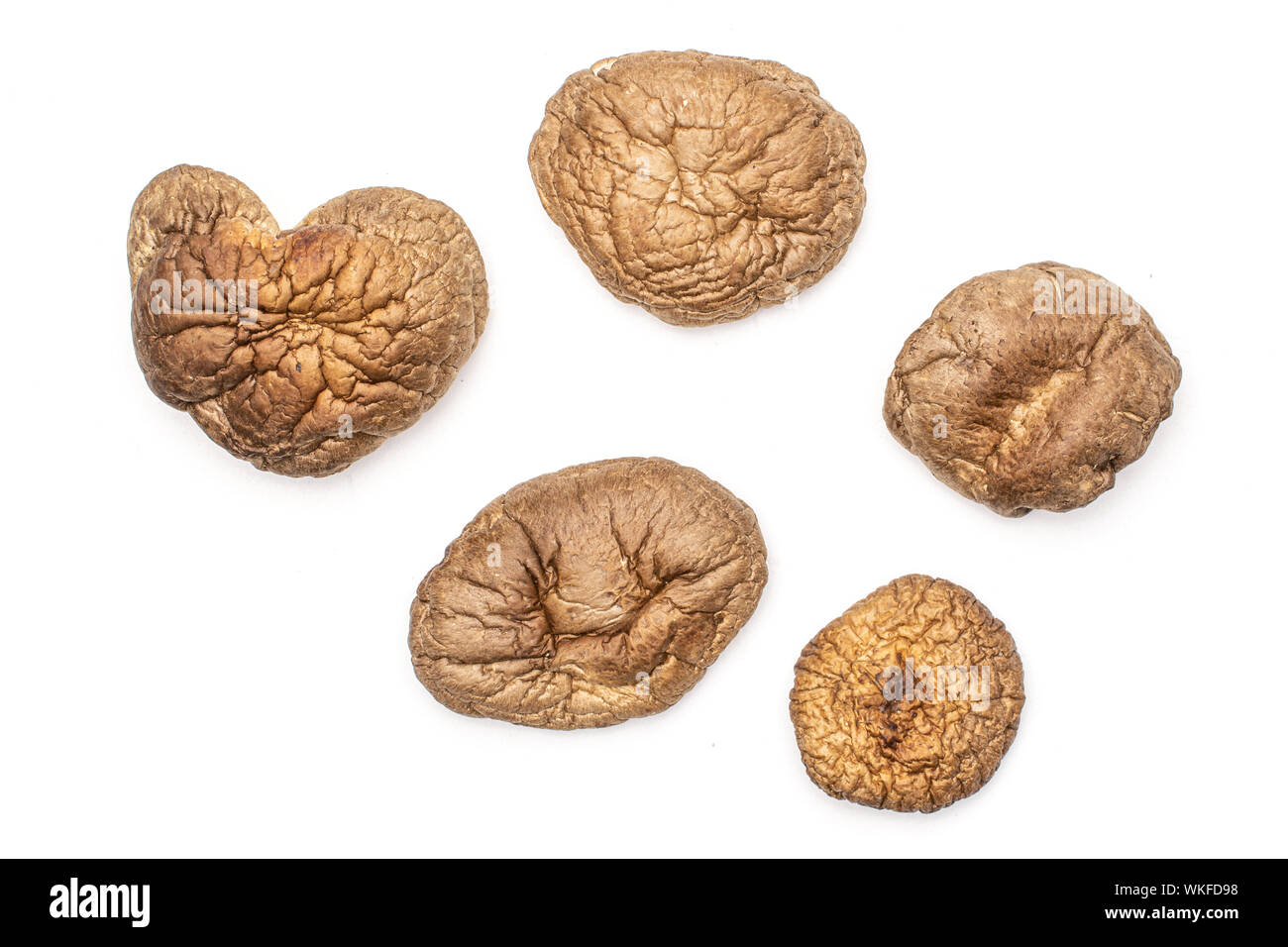 Group dark fungus on Cut Out Stock Images & Pictures - Alamy