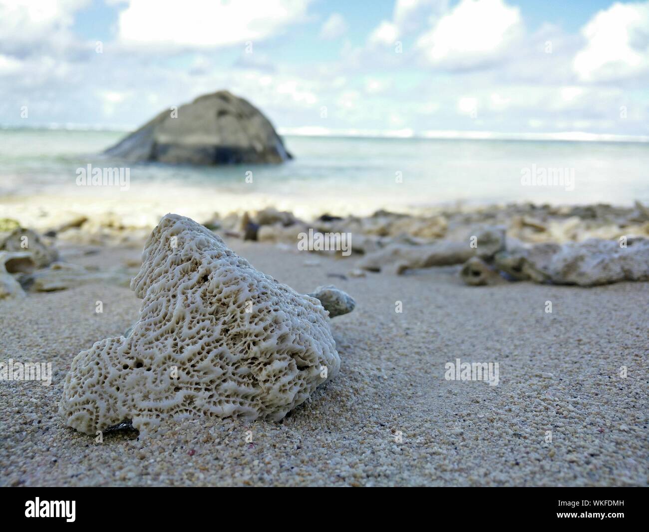 Coral Reef On Shore Against Cloudy Sky Stock Photo