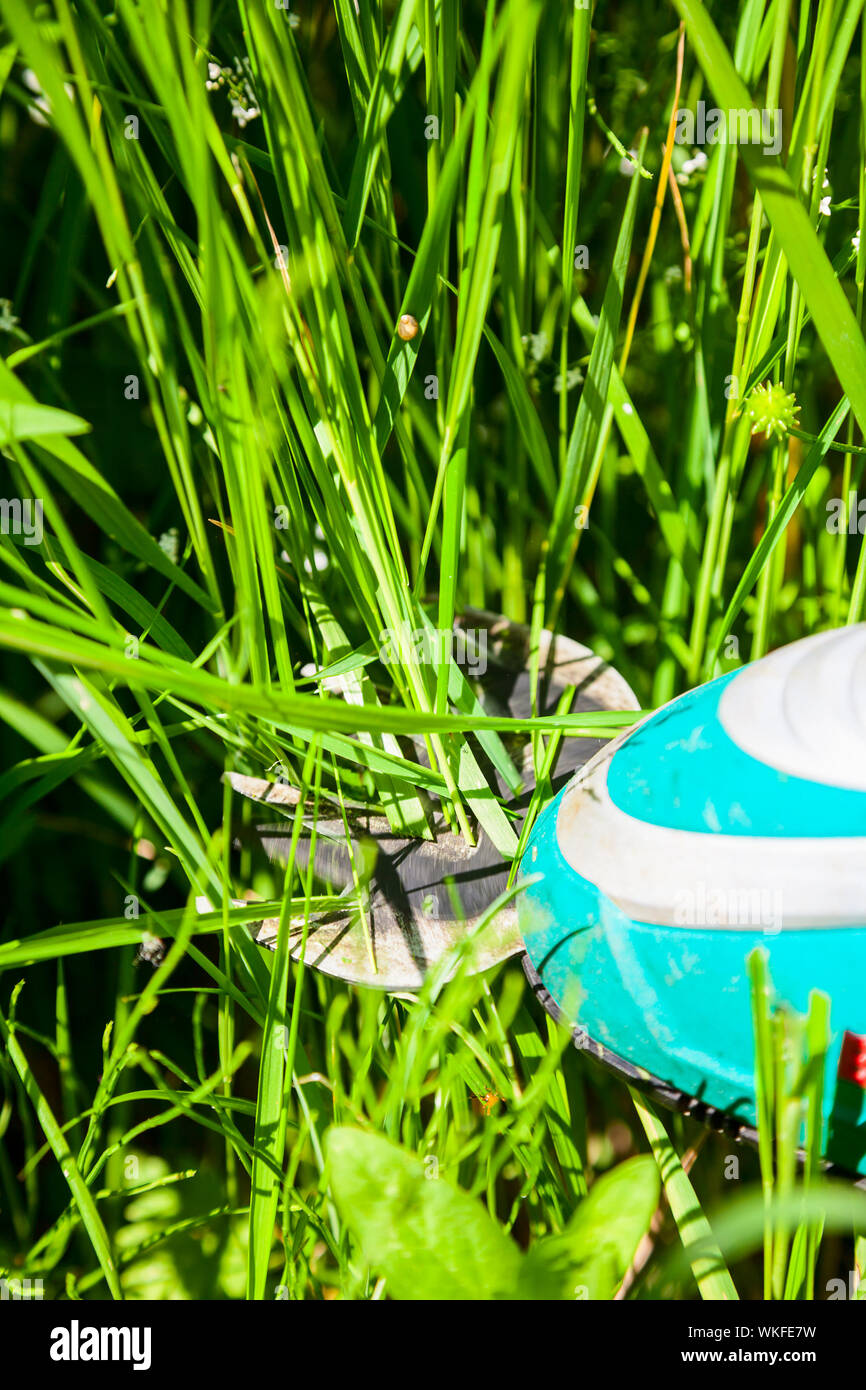 Cutting grass with cordless grass shears closeup Stock Photo Alamy