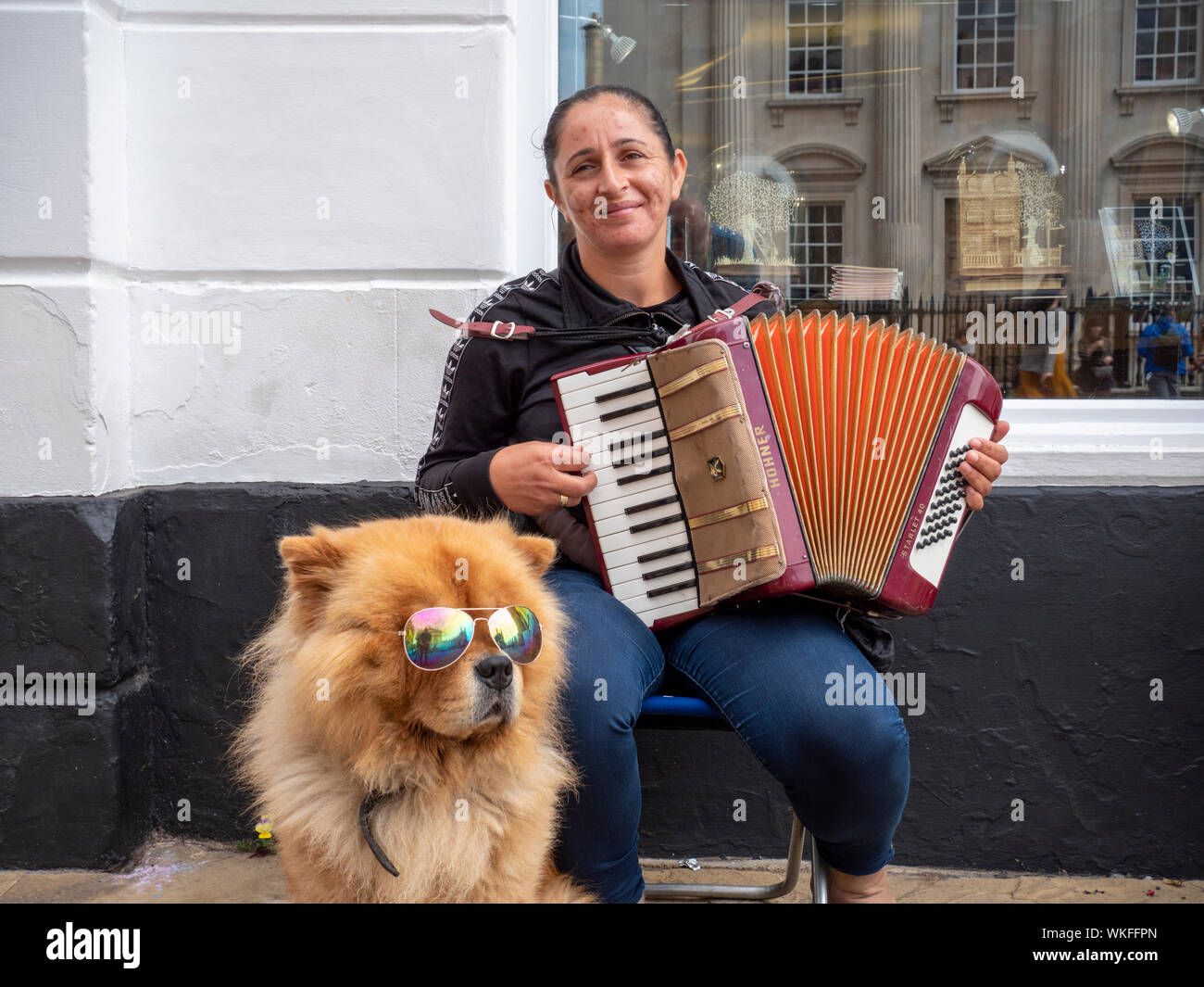 A woman busker busking with an accordion accompanied by a cute dog wearing sunglassses in a street in Cambridge UK Stock Photo