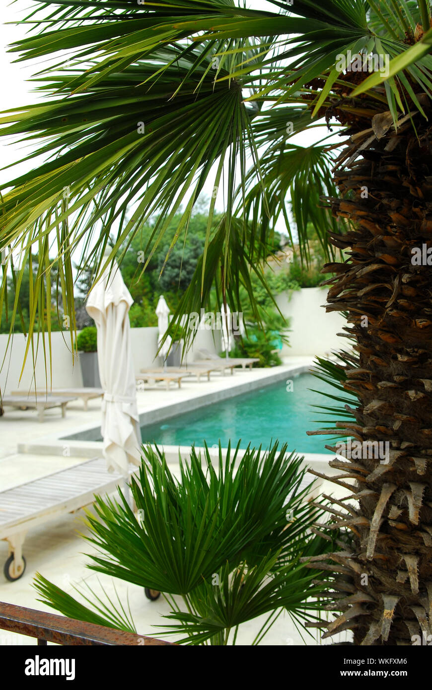 Swimming pool of mediterranean villa in French Riviera Stock Photo - Alamy