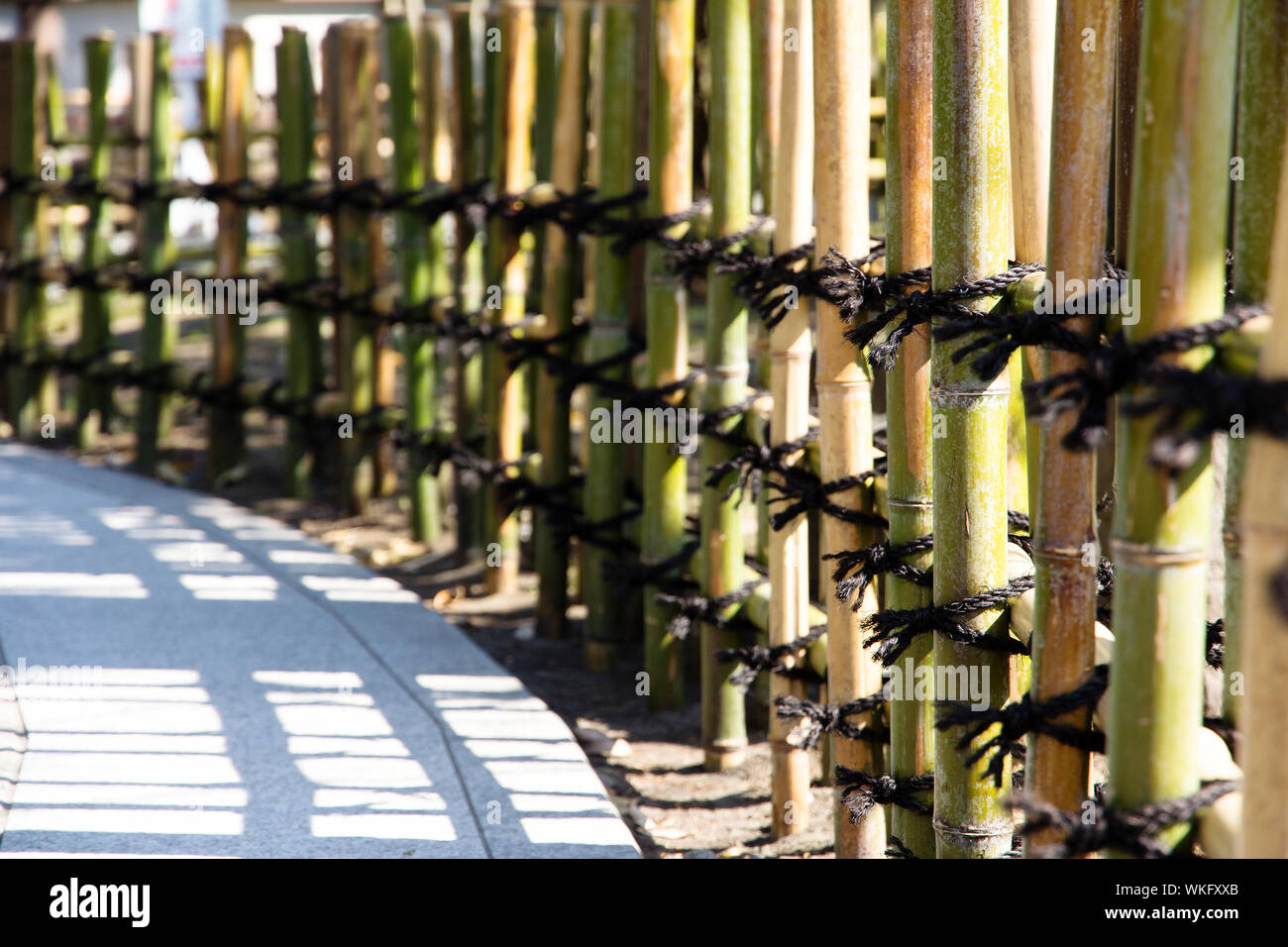 Traditional bamboo fences Stock Photo