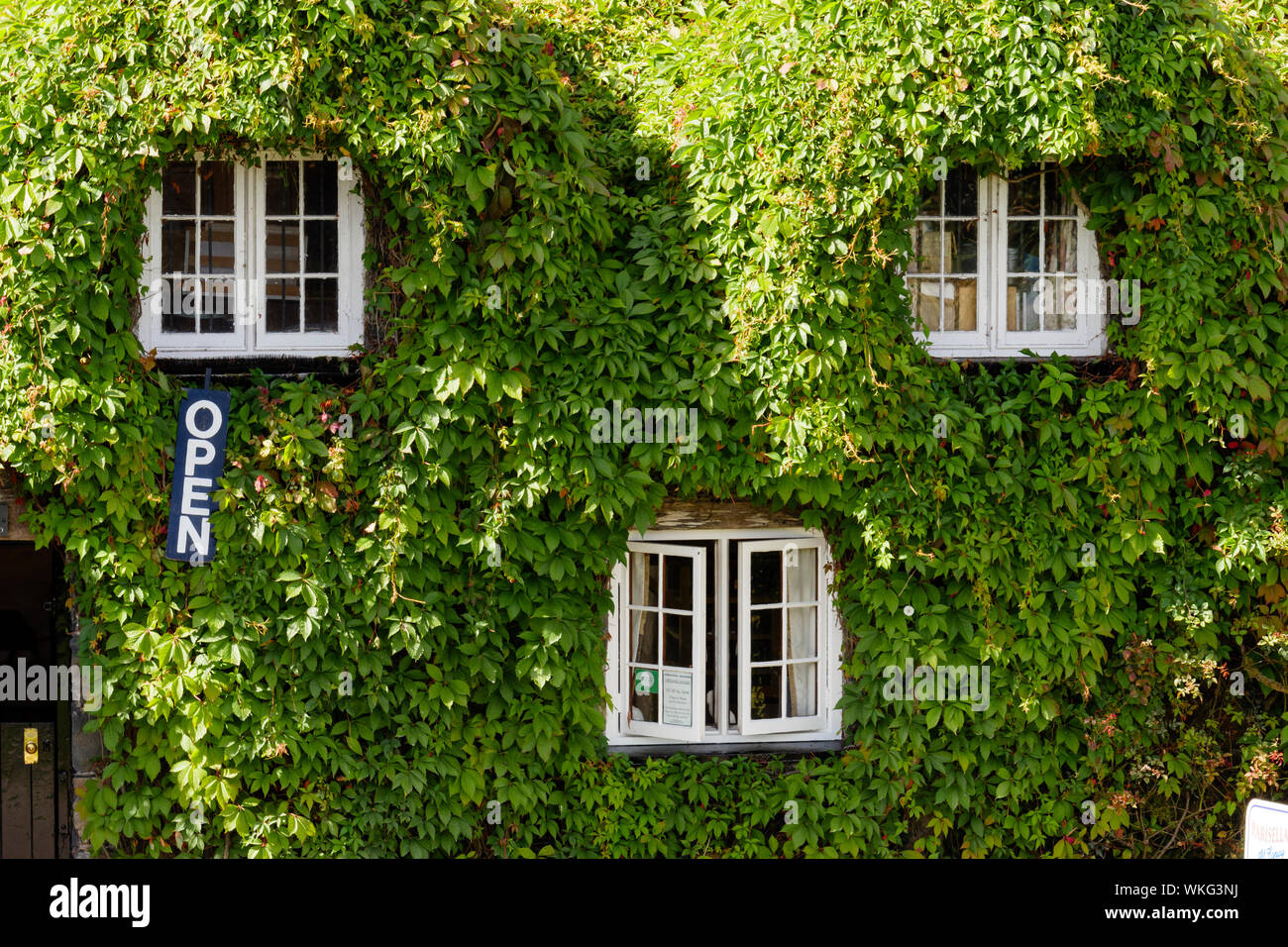 Ivy covered cottage Llanrwst Conwy Wales Stock Photo