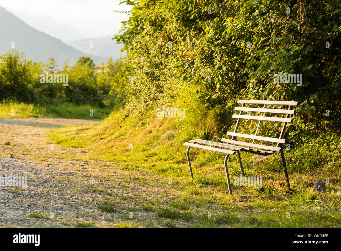 Alpine panorama in summer time, Italian Alps Stock Photo - Alamy