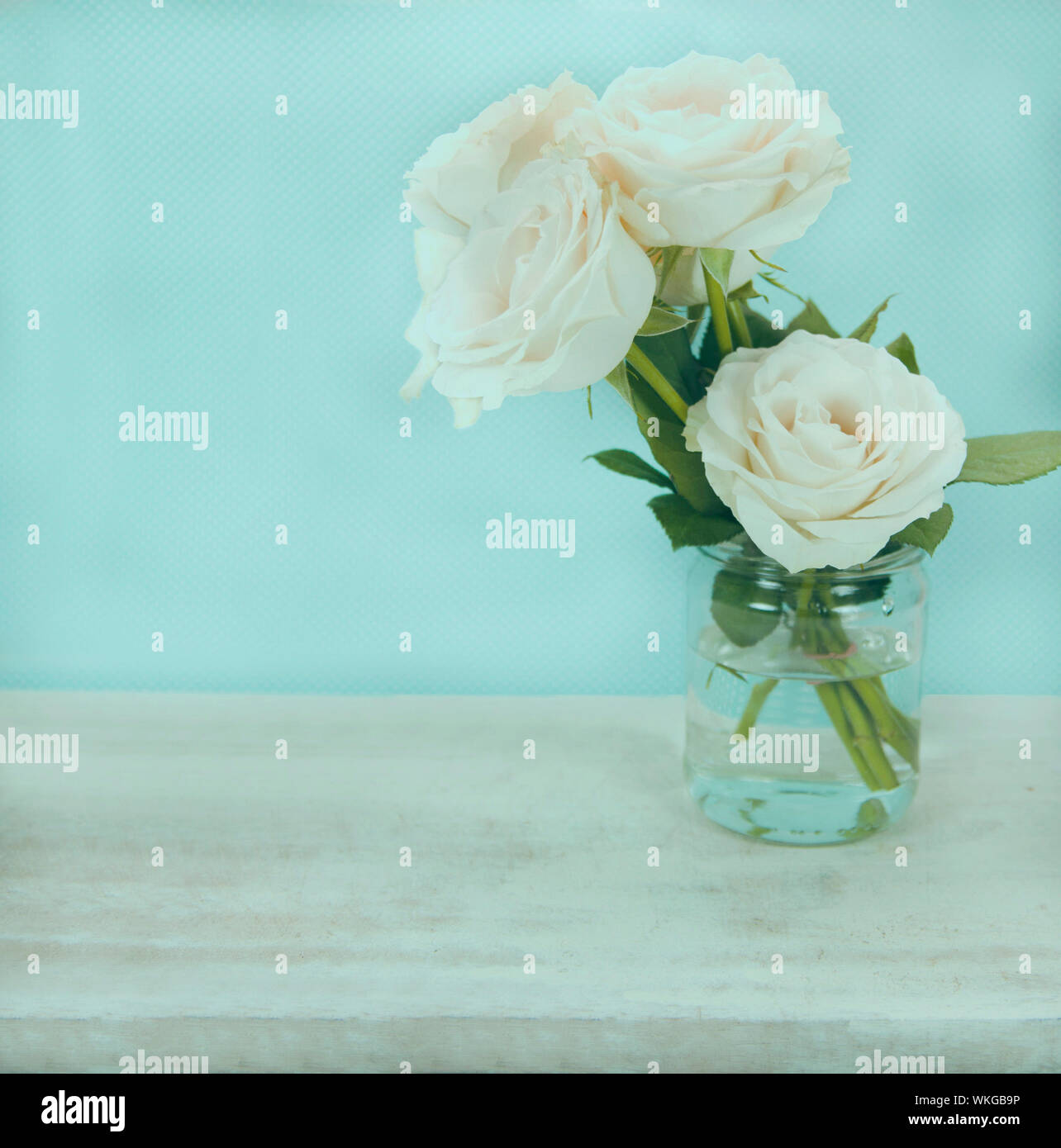 Beautiful white roses on blue background with copy space. Stock Photo