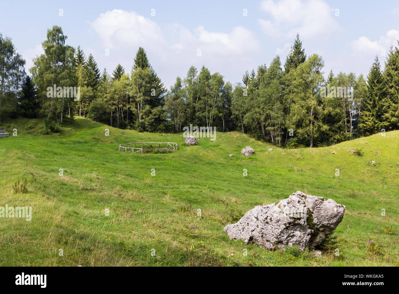 Alpine panorama in summer time, Italian Alps Stock Photo - Alamy