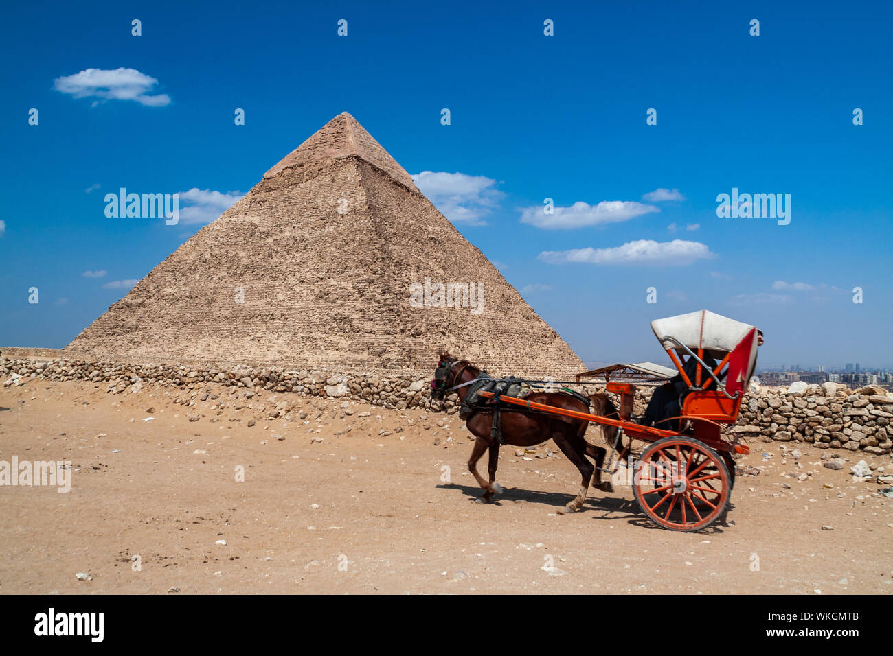 Egypt Pyramid Horse and Carriage Stock Photo Alamy