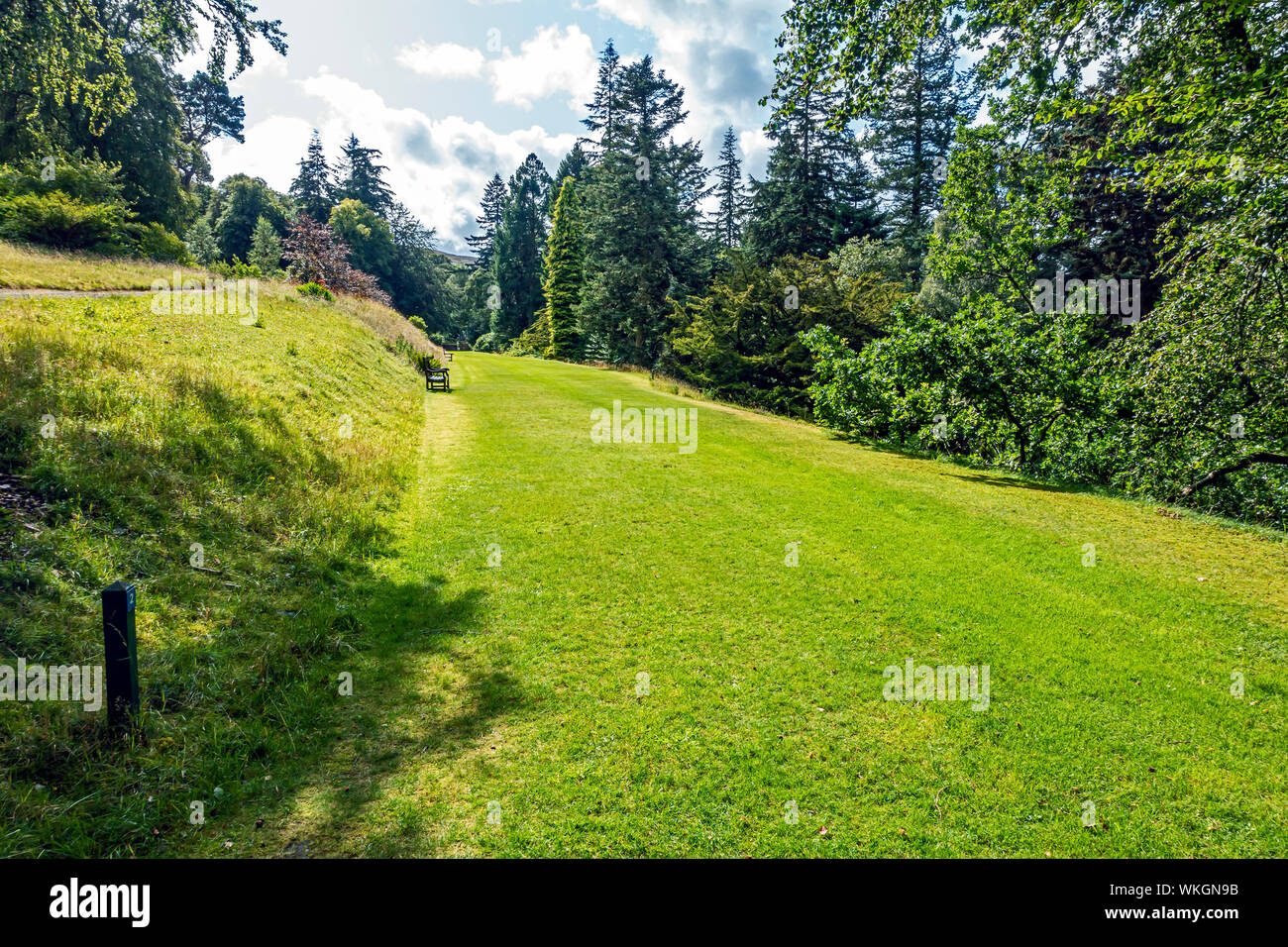 Open area in Dawyck Botanic Garden Stobo near Peebles Scottish Borders Scotland UK Stock Photo