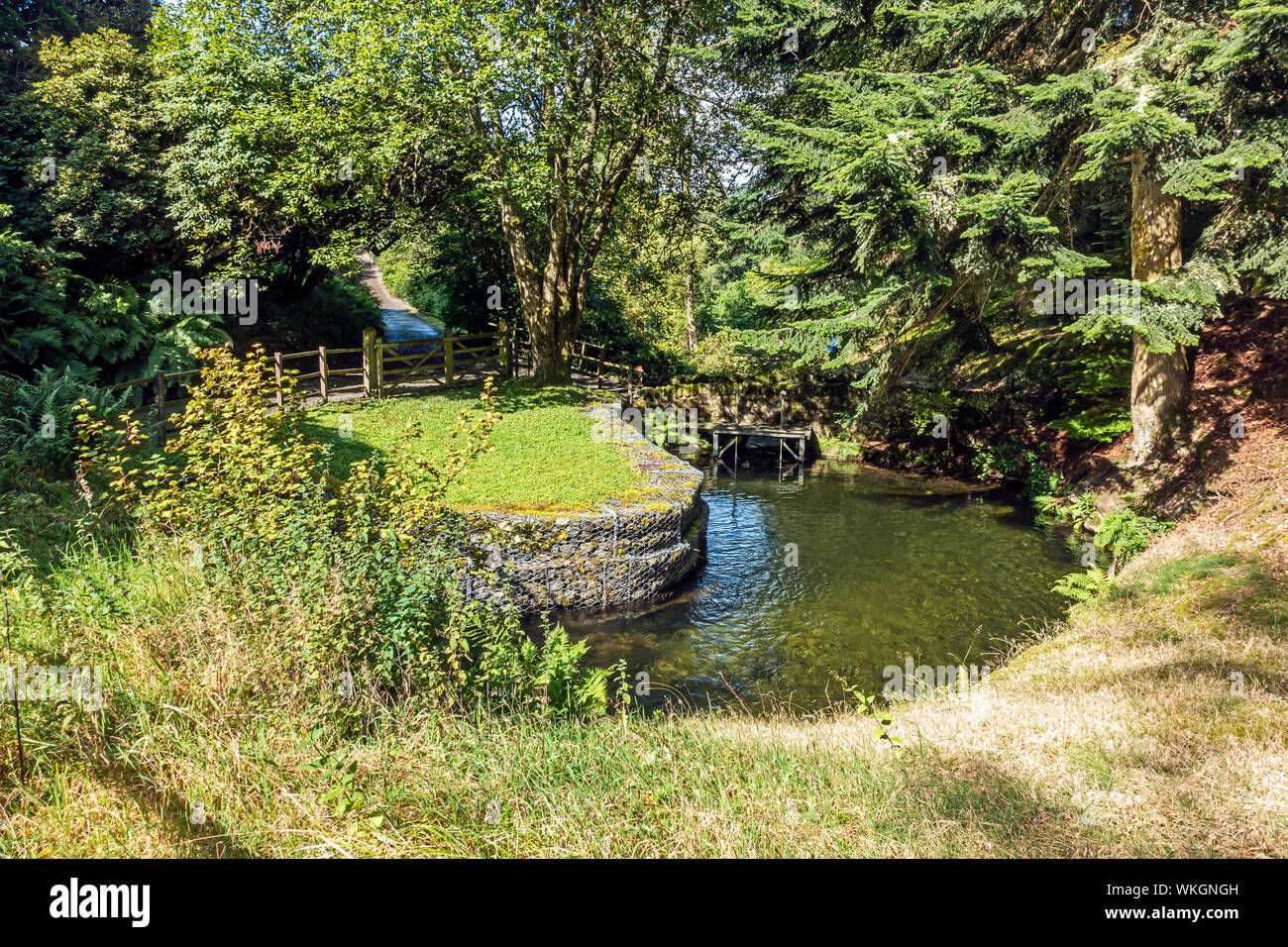 The Dynamo Pond at Dawyck Botanic Garden Stobo near Peebles Scottish Borders Scotland UK Stock Photo