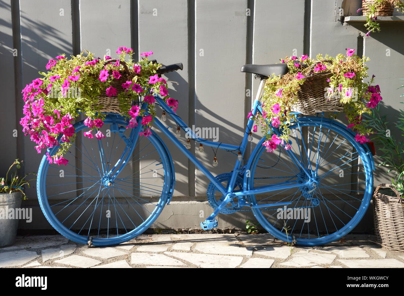Still life blue bicycle hi-res stock photography and images - Alamy