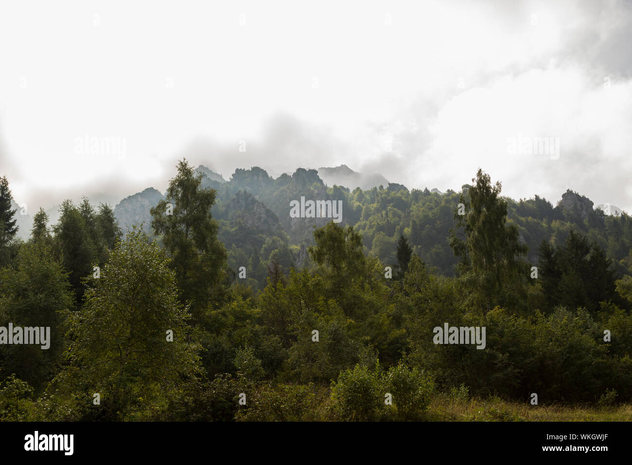 Alpine panorama in summer time, Italian Alps Stock Photo - Alamy