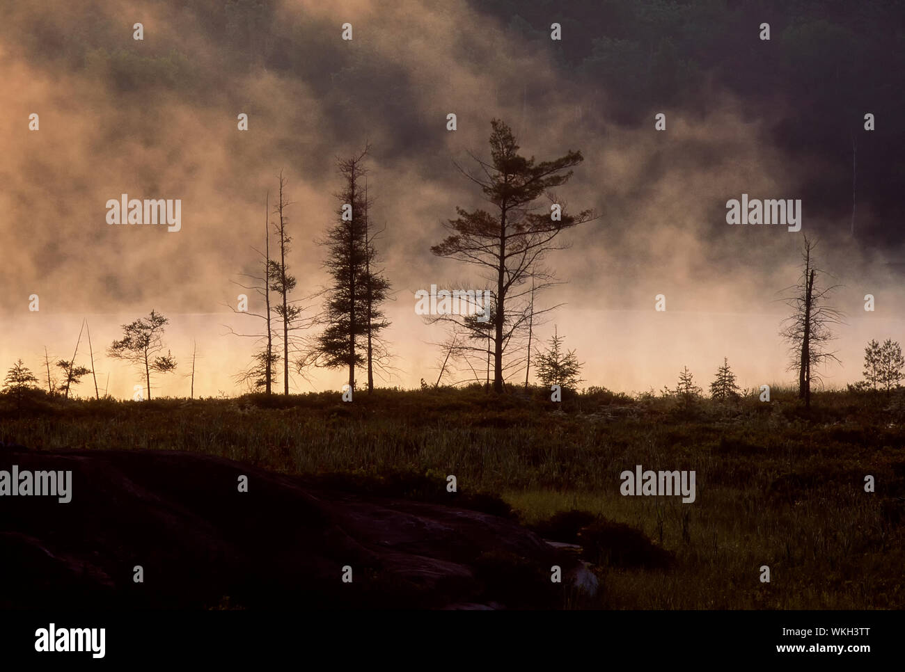 Mist rising on pond in early morning, Sudbury, Ontario, Canada Stock Photo