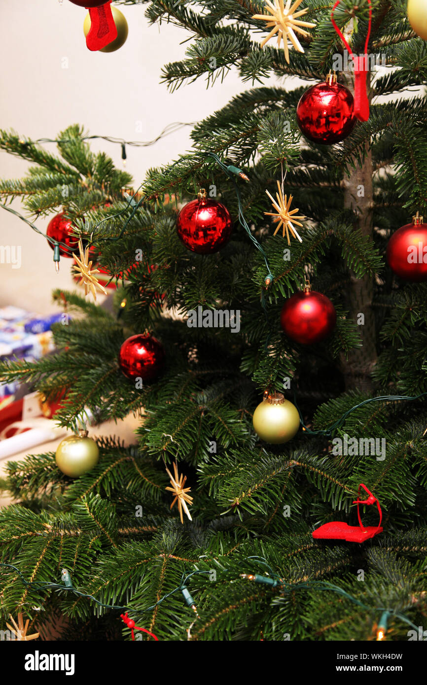 Christmas tree decorated with red and gold Christmas ball. Under the ...