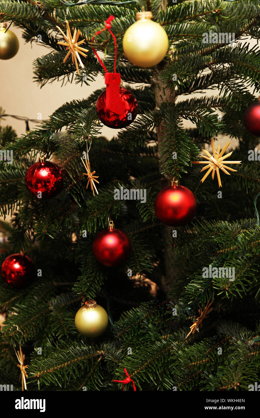 Christmas tree decorated with red and gold balls and straw stars Stock ...