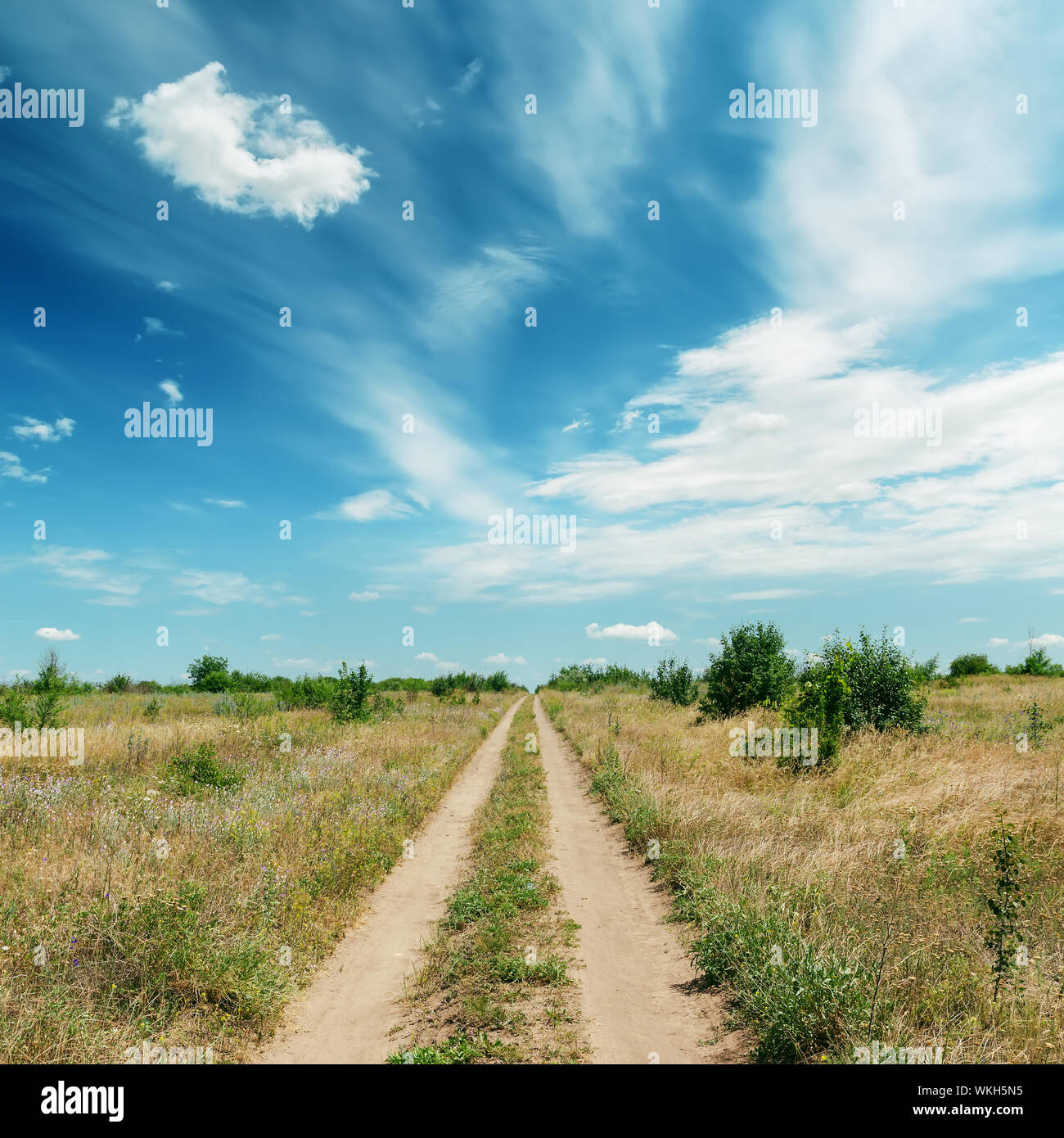 rural road in green landscape and dramatic blue sky with clouds Stock ...