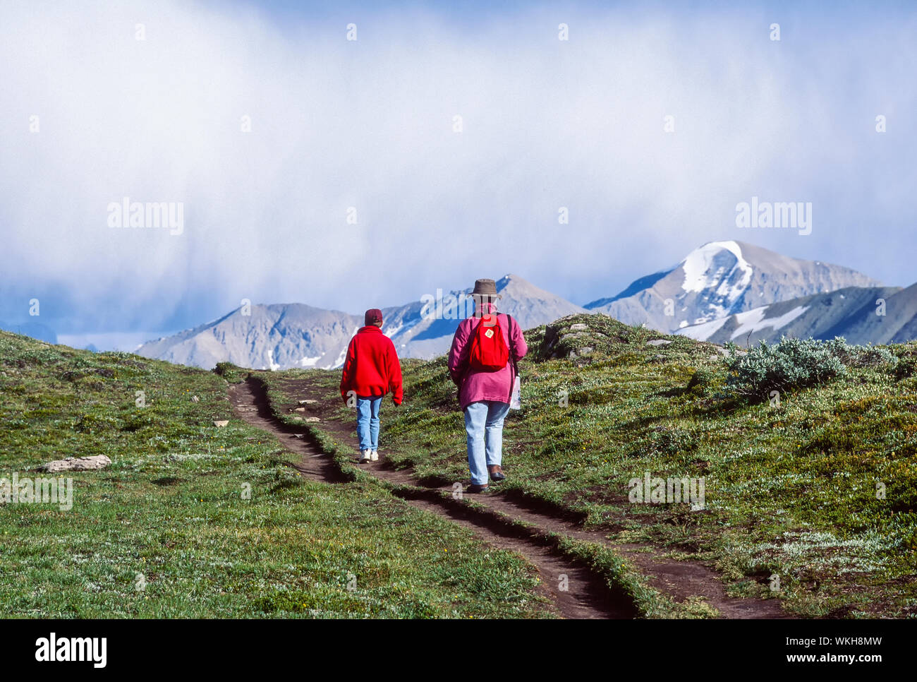 Hikers on trail high up on Wilcox Pass, Jasper National Park, Alberta, Canada Stock Photo