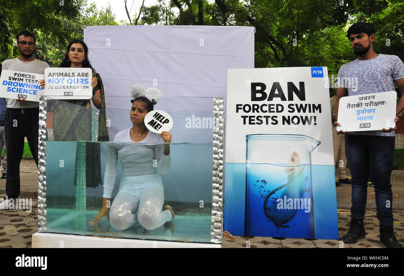 Animal right activists from PETA during a protest in a tank of water to call for Animal right activists from PETA during a protest in a tank of water to call for