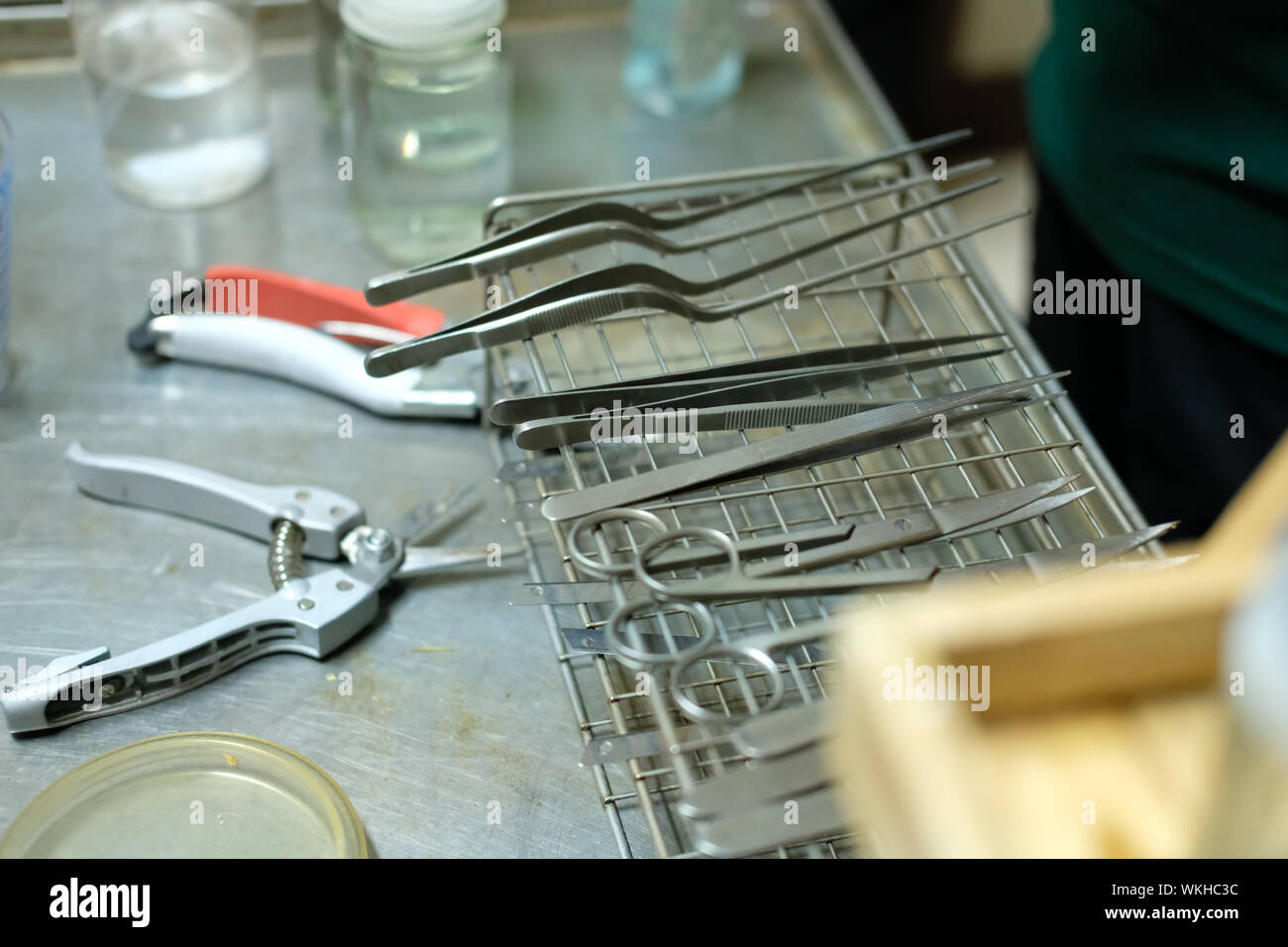 plier knife scissor for plant tissue culture in laboratory Stock Photo