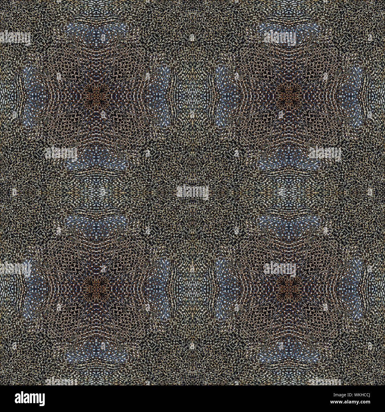 Colorful seamless pattern made from Great argus feathers Stock Photo