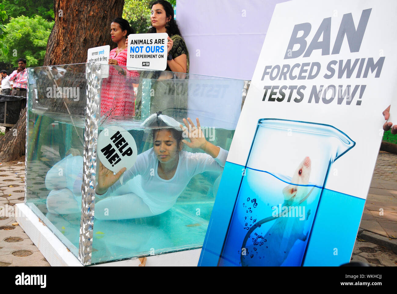 Animal right activist from PETA during a protest in a tank of water to call  for