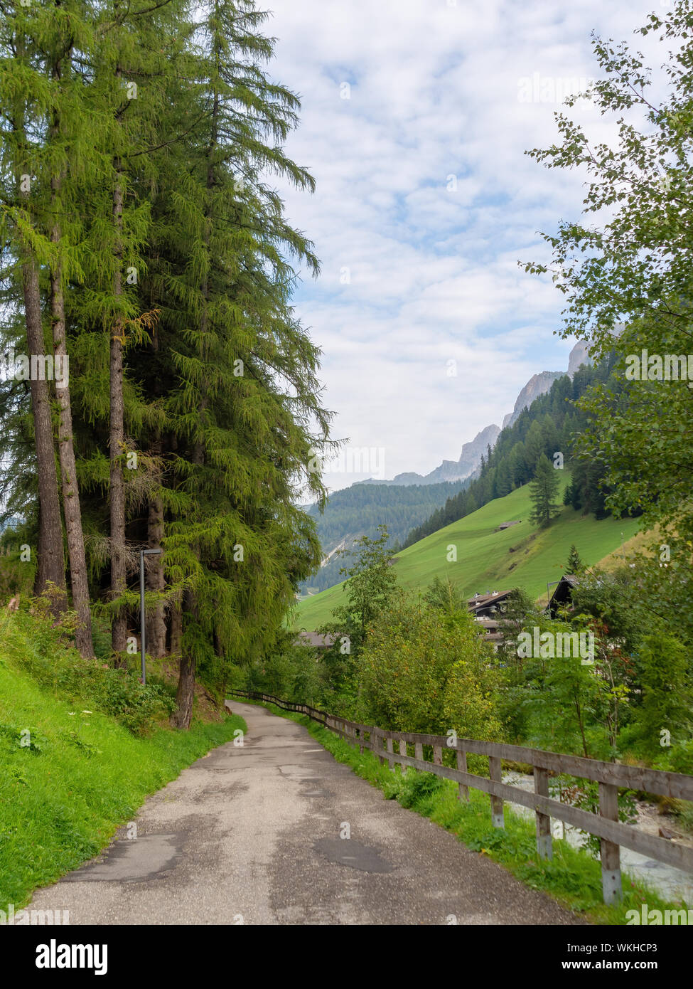 Cycle and hiking trail near Val di Gardena in Alto Adige, South Tyrol, beside river. Vertical composition. In the Dolomites. Stock Photo