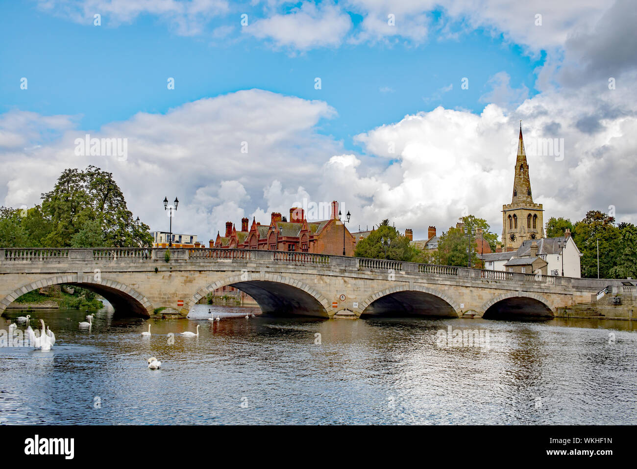 Bedford river swans hires stock photography and images Alamy