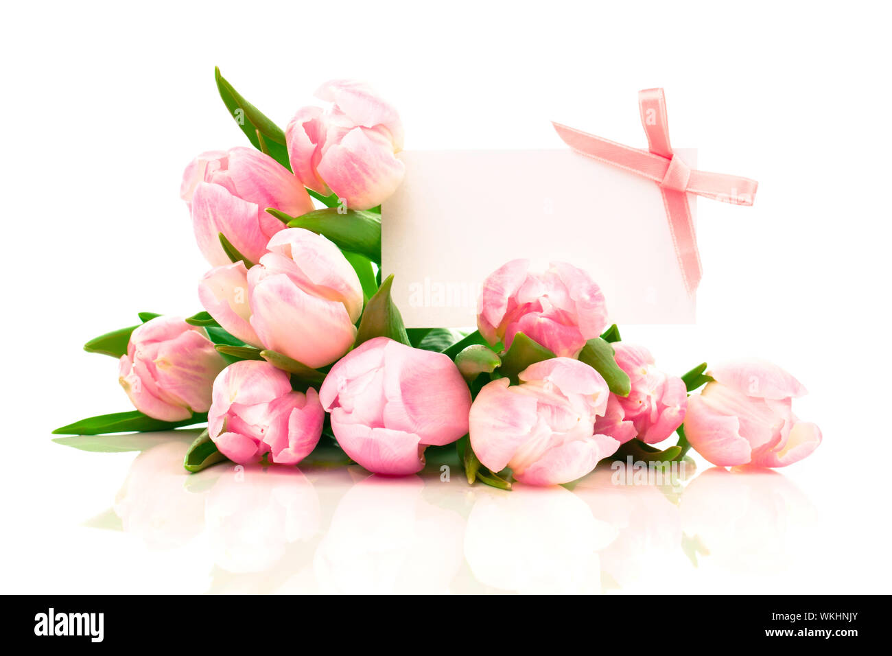beautiful tulips with with blank for text on a white background. happy ...