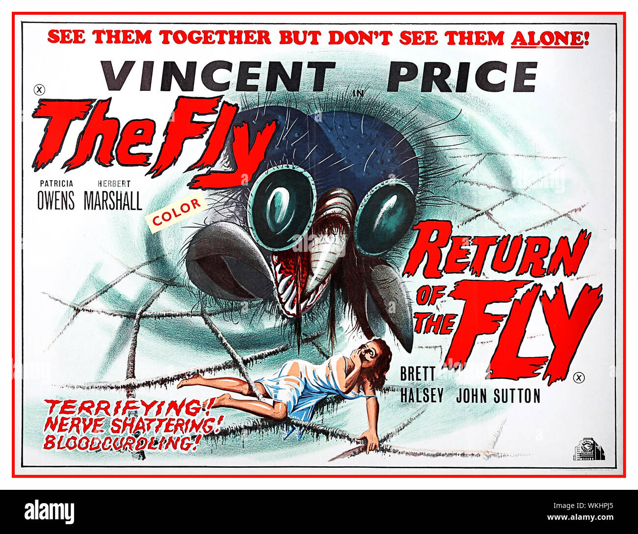 UK cinema film poster for the double-bill horror film of "The Fly" and ...
