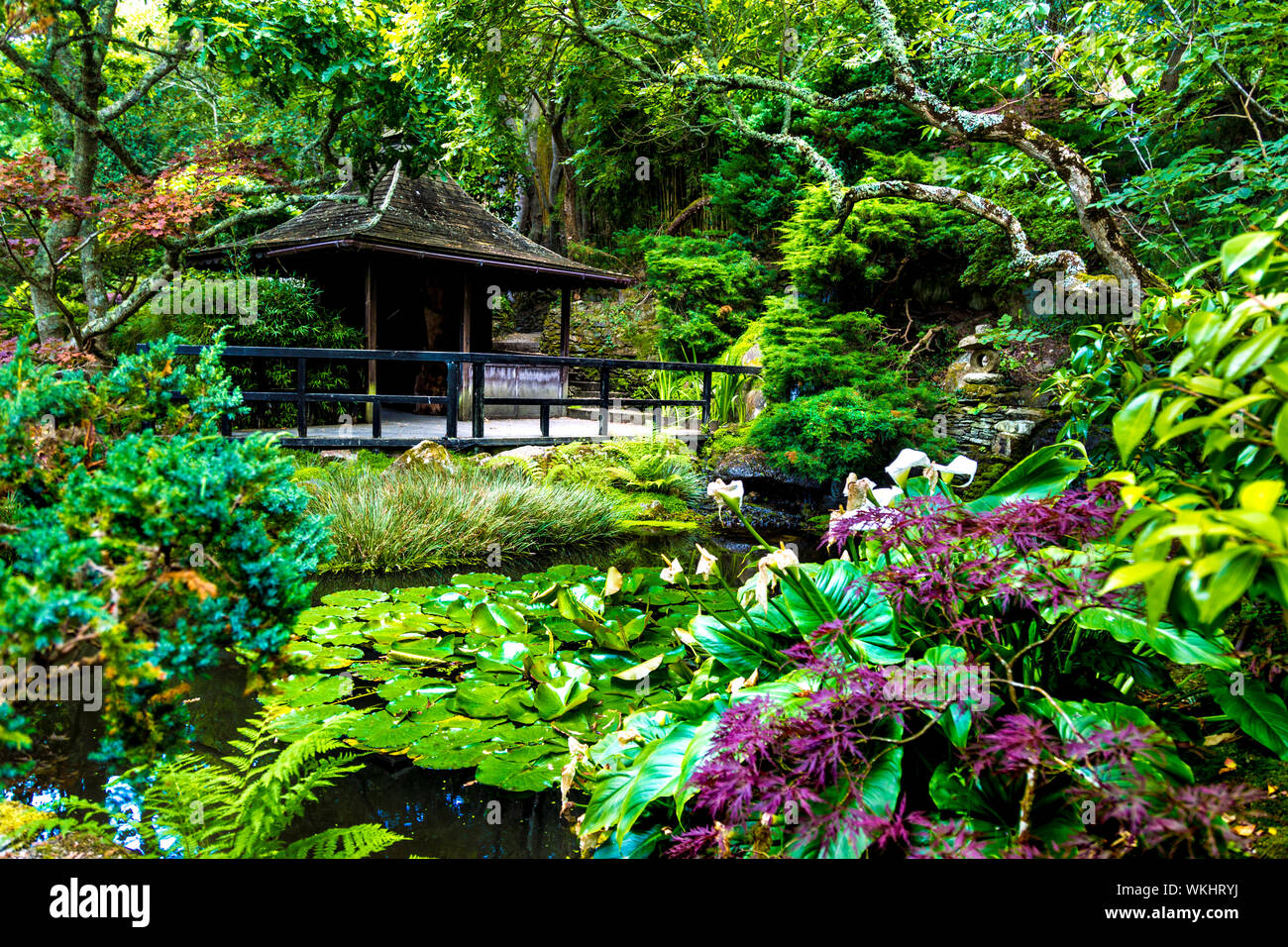 Pagoda and pond at The Japanese Garden in St Mawgan, Cornwall, UK Stock Photo
