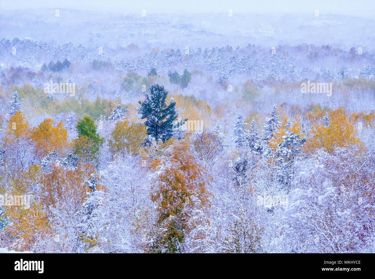 Early autumn snowfall, Sudbury, Ontario, Canada Stock Photo