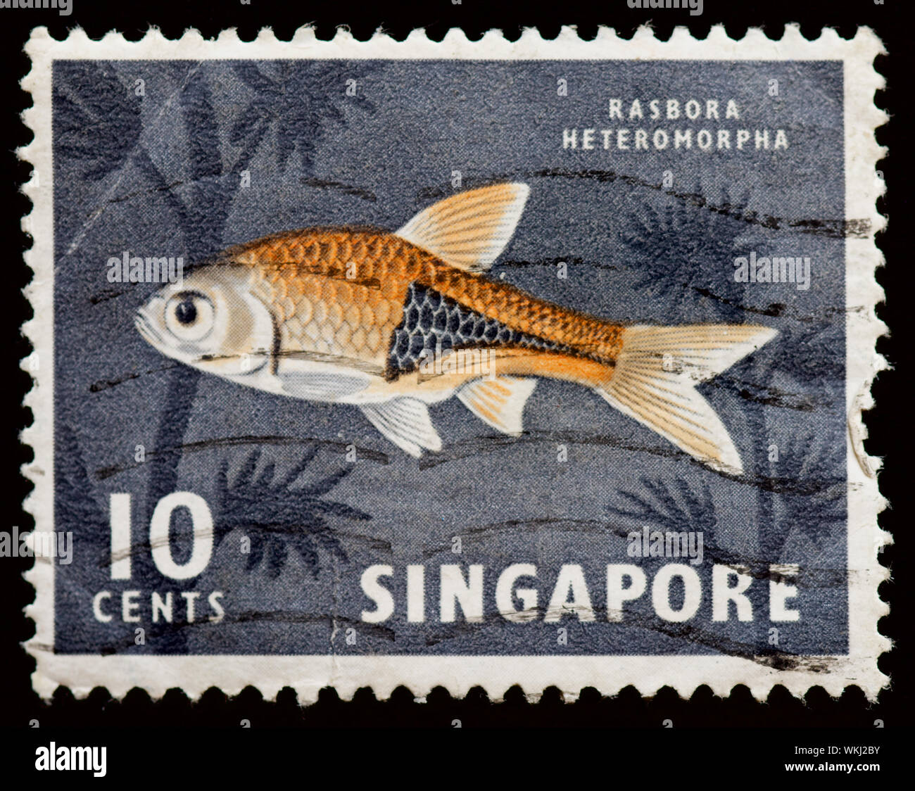 Singapore Postage Stamp - Fish Stock Photo