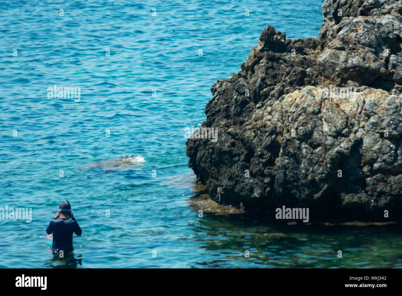 snorkeling in tabarca island(Alicante)Spain Stock Photo Alamy