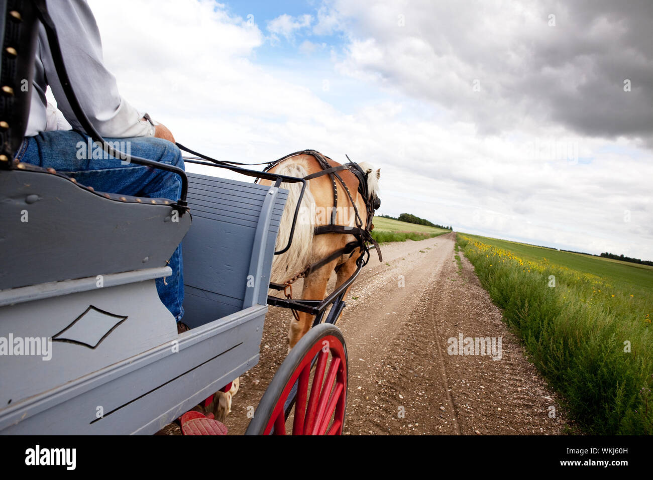 Horse and Cart Stock Photo Alamy