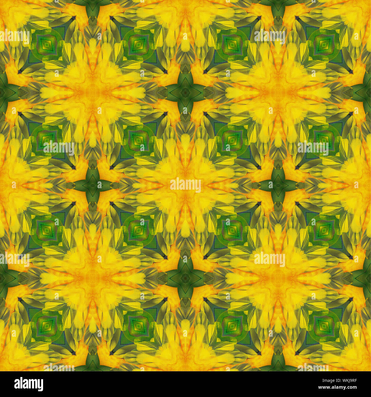 Seamless pattern made from Sun Conure feathers texture background Stock Photo
