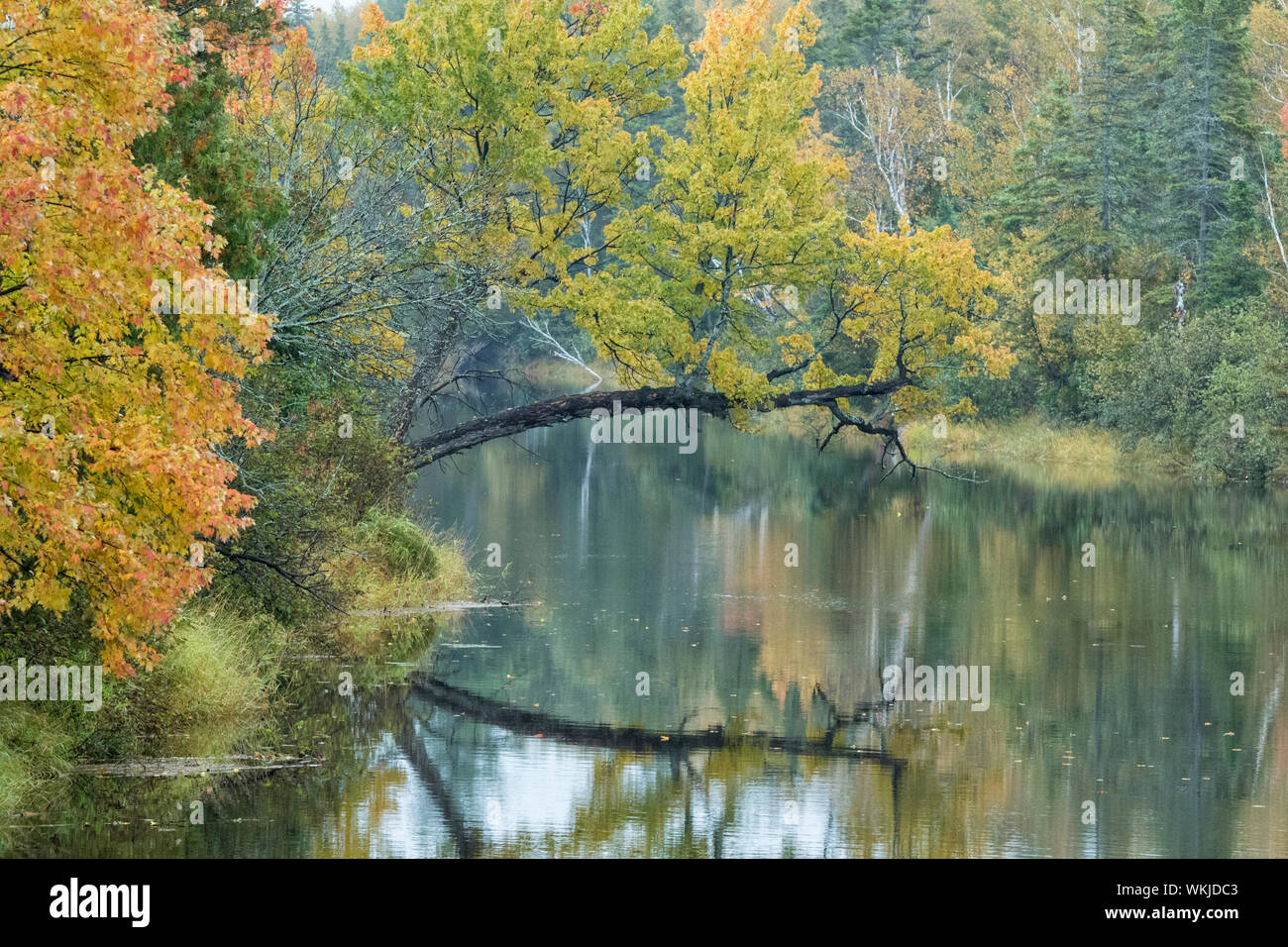Wanapitae River in autumn, near Wanup, Sudbury District, Ontario Stock Photo