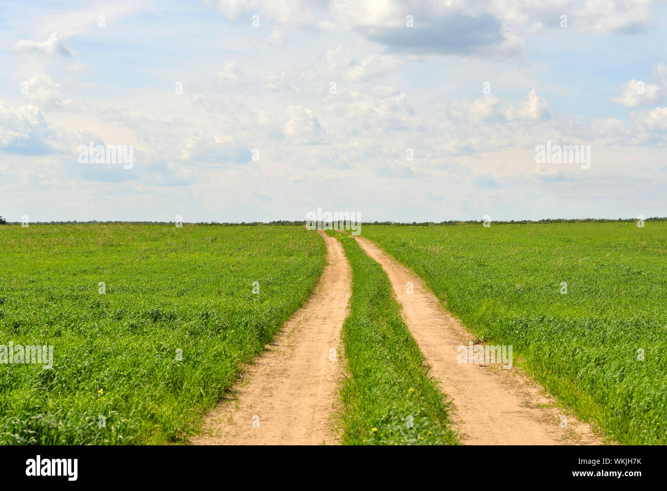 Summer landscape with green grass, road and clouds Stock Photo - Alamy