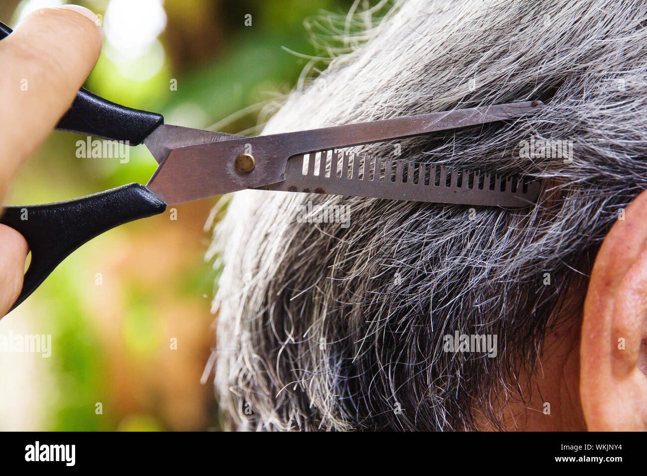 Cut The Hair Stock Photo Alamy Cut The Hair Stock Photo Alamy