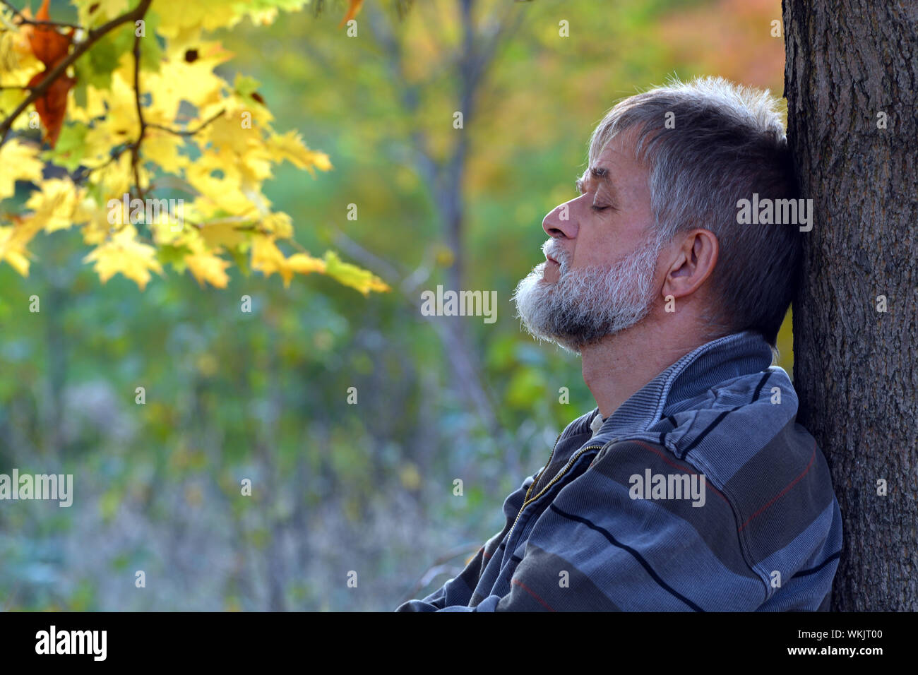 Old man sits under tree hi-res stock photography and images - Alamy