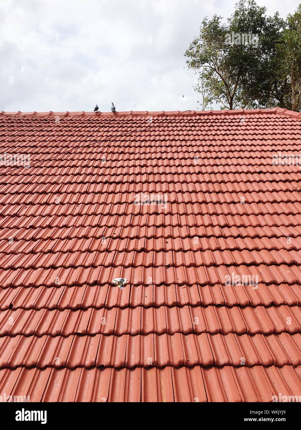 Red Roof Tiles Against Sky Stock Photo