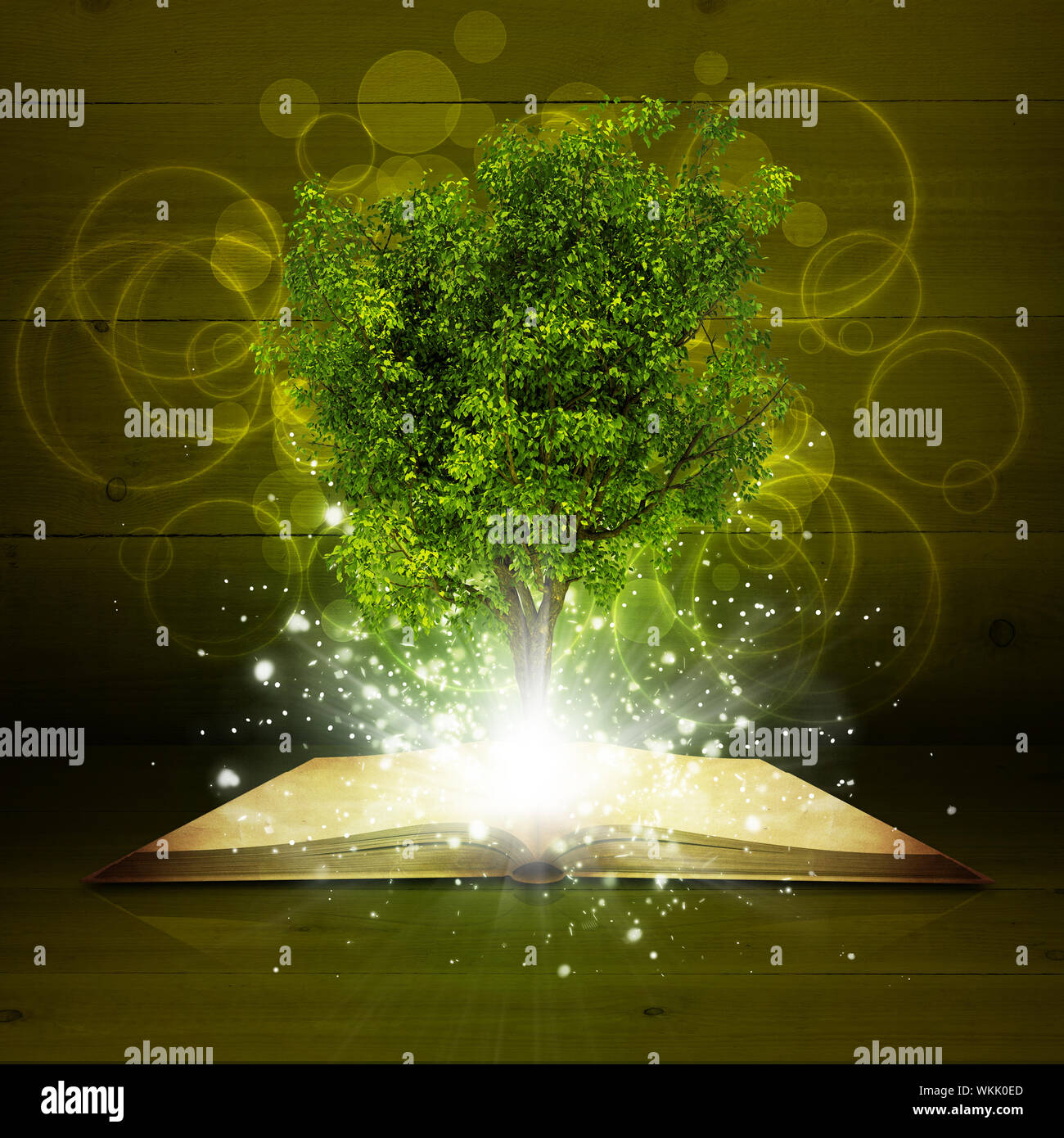 Open book with magical green tree and rays of light on dark background ...