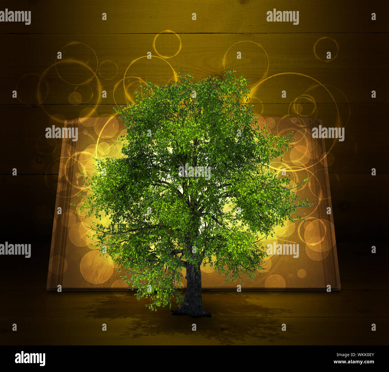 Open book with magical green tree and rays of light on dark background ...